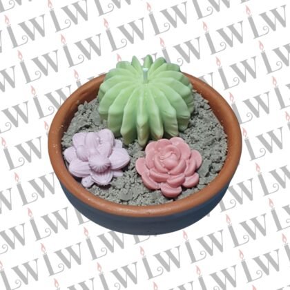 Espelma Jardí de cactus