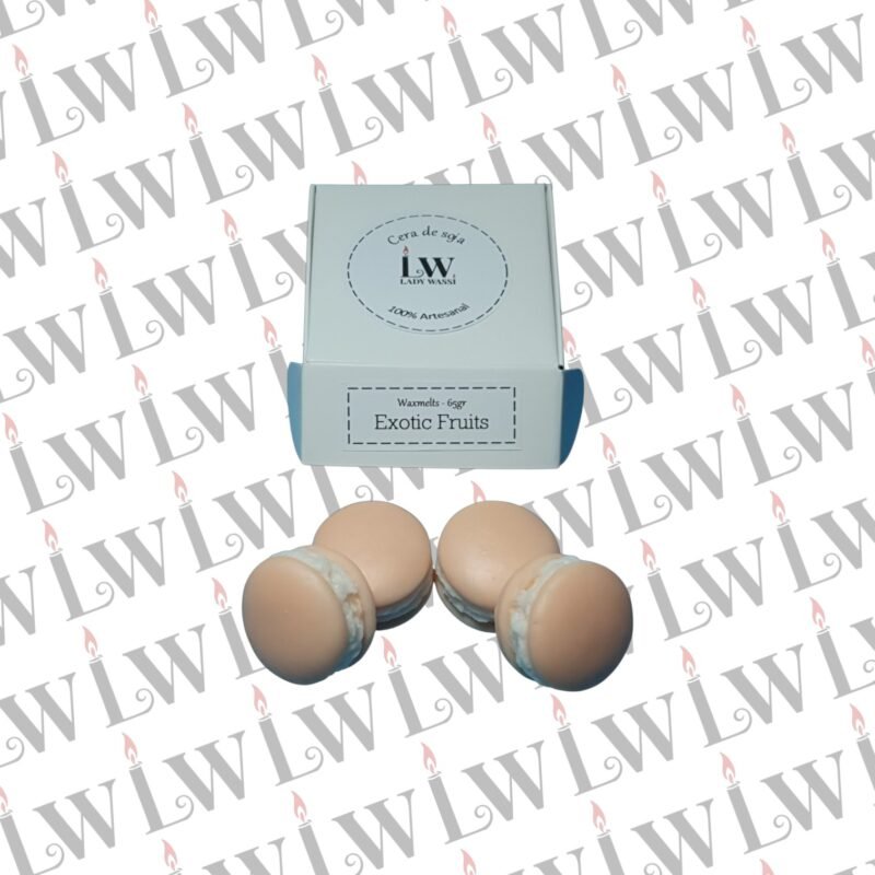 waxmelts en forma de macarons